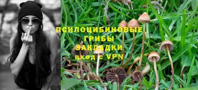 Галлюциногенные грибы Magic Shrooms  Егорьевск 